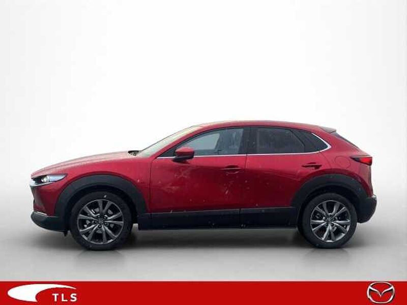 Mazda CX-30 Selection 2WD 2.0 SKYACTIV-X M Hybrid EU6d HUD Navi Soundsystem Bose 360 Kamera