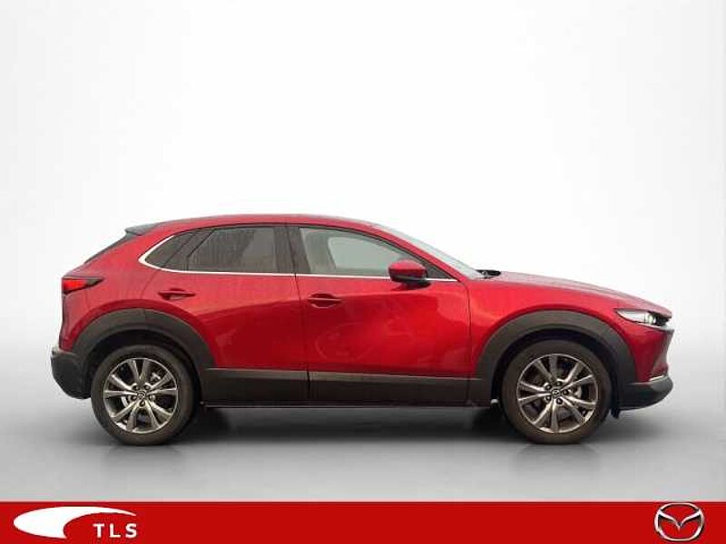 Mazda CX-30 Selection 2WD 2.0 SKYACTIV-X M Hybrid EU6d HUD Navi Soundsystem Bose 360 Kamera